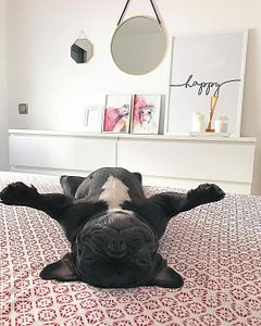 Thumbnail of image from Instagram post by loveproperty